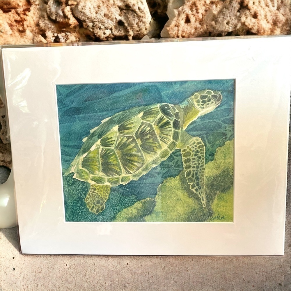 Sea Turtle print, nicely matted and ready to frame, 14 x 11 inches including mat